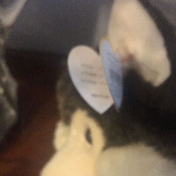 TY Husky Beanie Buddy  2003 - Picture 9 of 10